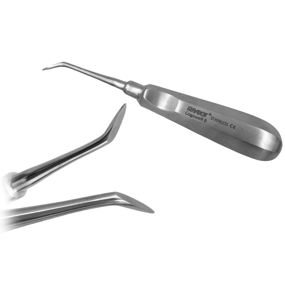 Suryadent Dental Cogswell B Root Elevator