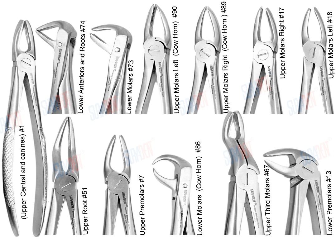 Suryadent Extraction Forceps set 12 Pcs