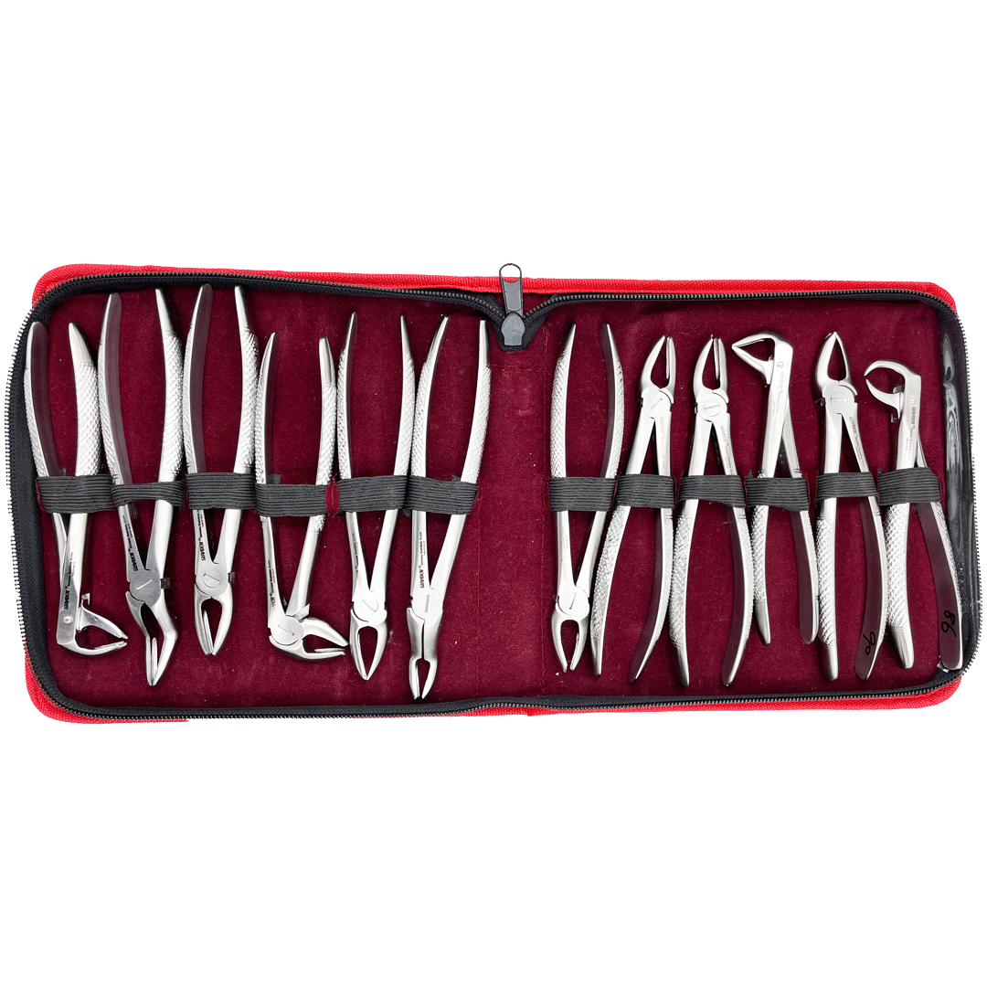 Suryadent Extraction Forceps set 12 Pcs - Image 3