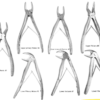 Suryadent Pedo Extraction forceps  set 7 pcs