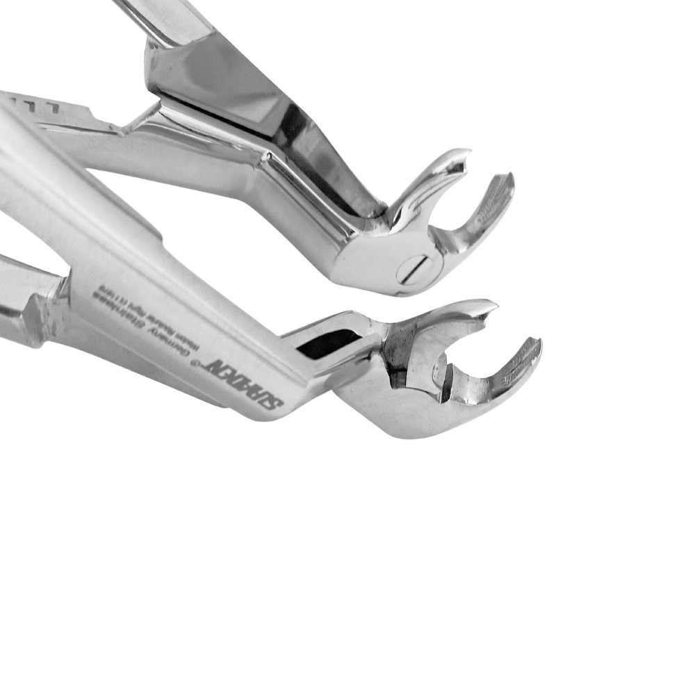 Suryadent® Tooth Extraction Forceps Lower Molars & Wisdom Routurier Left & Right Set