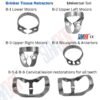 Suryadent® Brinker Tissue Retractor Clamp Set (B1–B6) | Dental Gingival Retraction Clamps