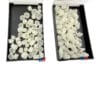 Suryadent Preformed Temporary Crowns | Anterior & Posterior | Natural Shade | Disposable